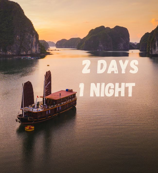 Lan Hạ Bay: A Relaxed Family Cruise