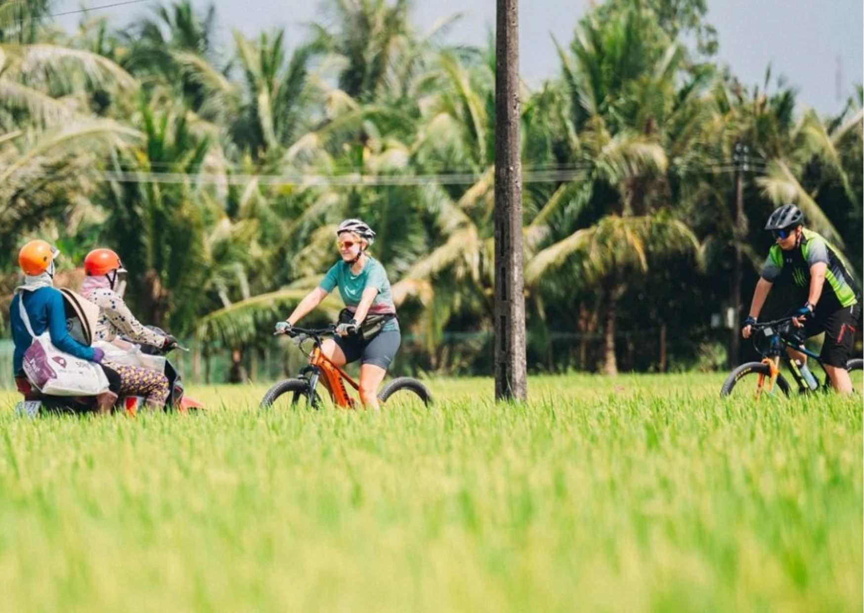 Cycle Mekong Trails and Float Through Serene Canals: 2 Days 1 Night Adventure