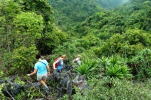 trekking at Cat Ba National Park