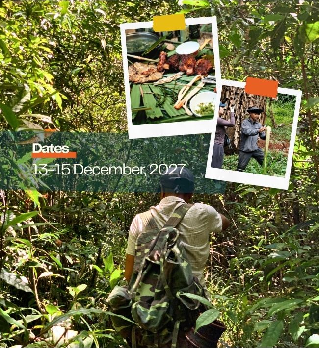 Bảo Lộc: Culinary Trip & Wild Foraging