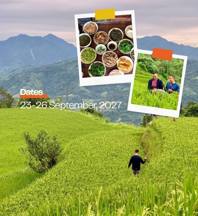 Hoàng Su Phì: Culinary Trip & Mountain Retreat